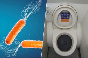 Nadie sabe cómo combatir las superbacterias, pero hay quienes ya son de ayuda: los que hacen caca en los aviones