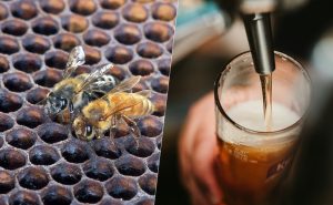 La última idea extrema en la fermentación de cerveza no tiene que ver con el alcohol. Tiene que ver con abejas asesinas